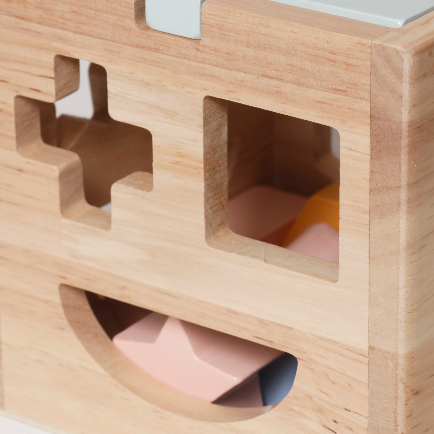 starter bundle